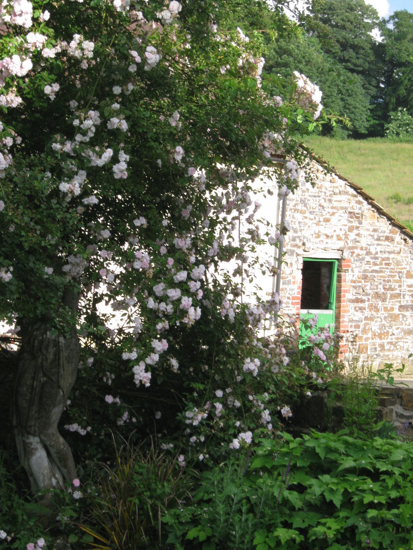 반스테이플 Hollamoor Farm B&B 외부 사진